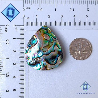 Natural Abalone shell Gemstone Pear Cabochons 34*29*7mm from New Zealand  available for sale