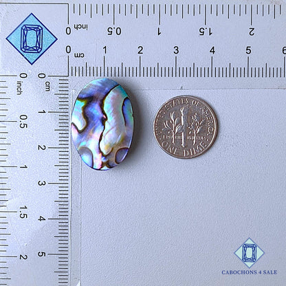 Natural Abalone shell Gemstone Oval Cabochons 25*17*6mm from New Zealand  available for sale