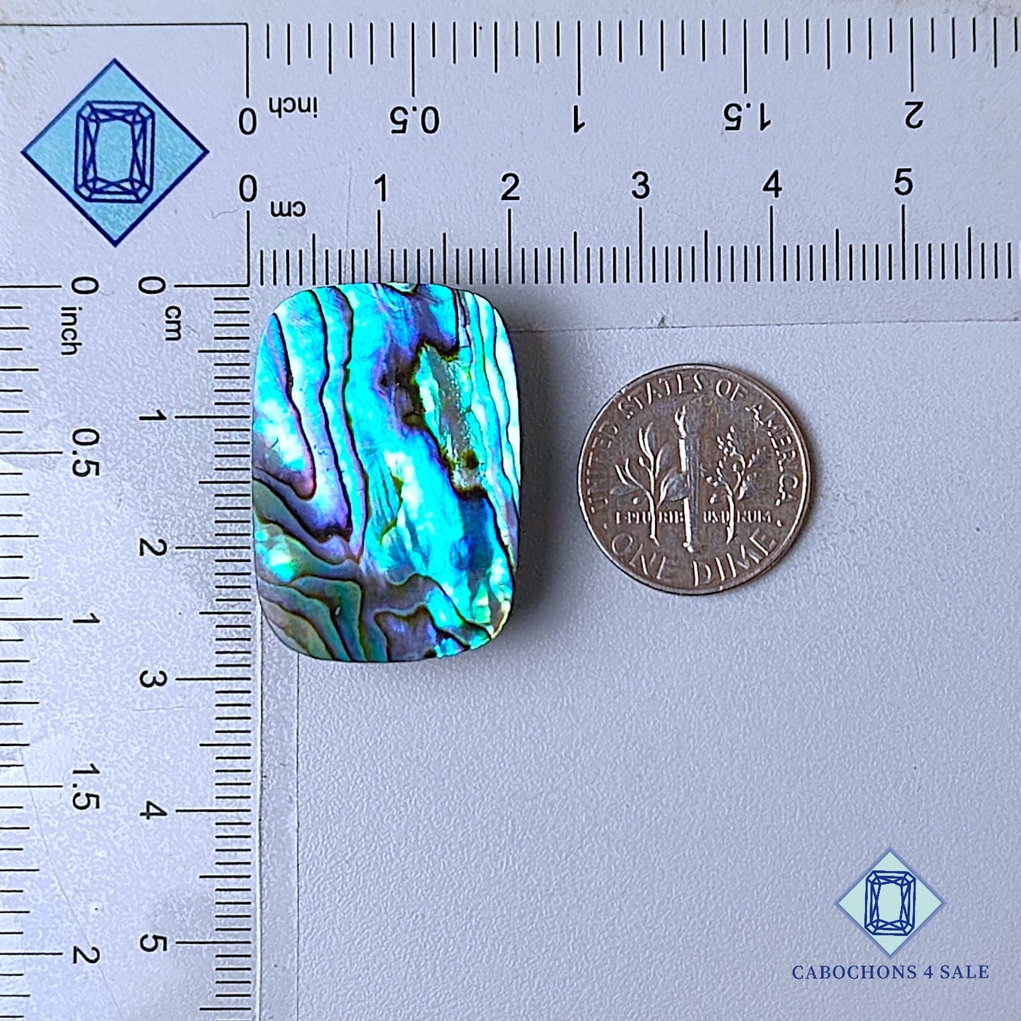 Natural Abalone shell Gemstone Rectangle Cabochons 28*19*7mm from New Zealand  available for sale