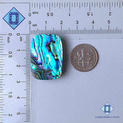 Natural Abalone shell Gemstone Rectangle Cabochons 28*19*7mm from New Zealand  available for sale