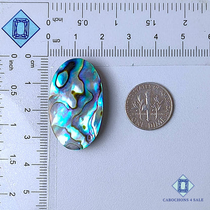 Natural Abalone shell Gemstone Oval Cabochons 32*19*7mm from New Zealand  available for sale