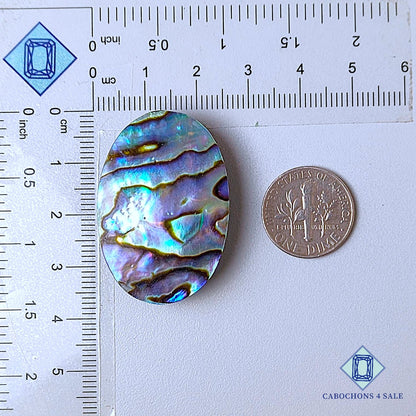 Natural Abalone shell Gemstone Oval Cabochons 36*24*7mm from New Zealand  available for sale