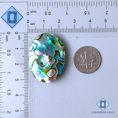 Natural Abalone shell Gemstone Oval Cabochons 31*23*6mm from New Zealand  available for sale