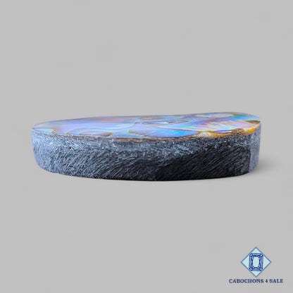 Natural Abalone shell Gemstone Oval Cabochons 31*23*6mm from New Zealand  available for sale