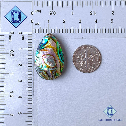 Natural Abalone shell Gemstone Pear Cabochons 29*18*6mm from New Zealand  available for sale