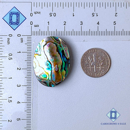 Natural Abalone shell Gemstone Oval Cabochons 30*22*6mm from New Zealand  available for sale