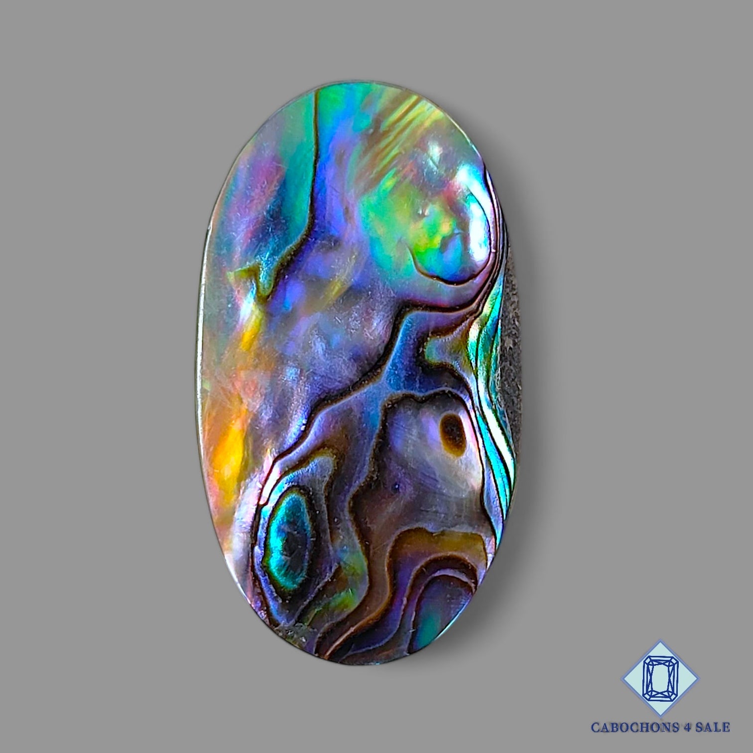 Abalone shell