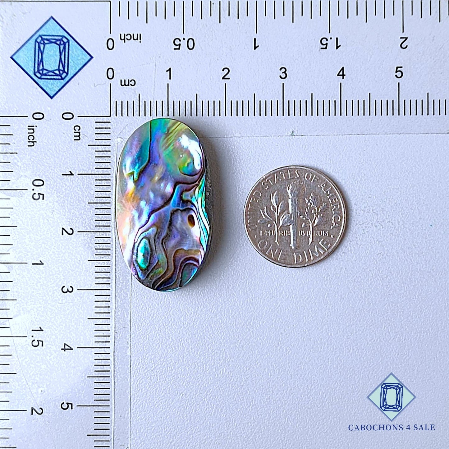 Natural Abalone shell Gemstone Oval Cabochons 30*16*6mm from New Zealand  available for sale