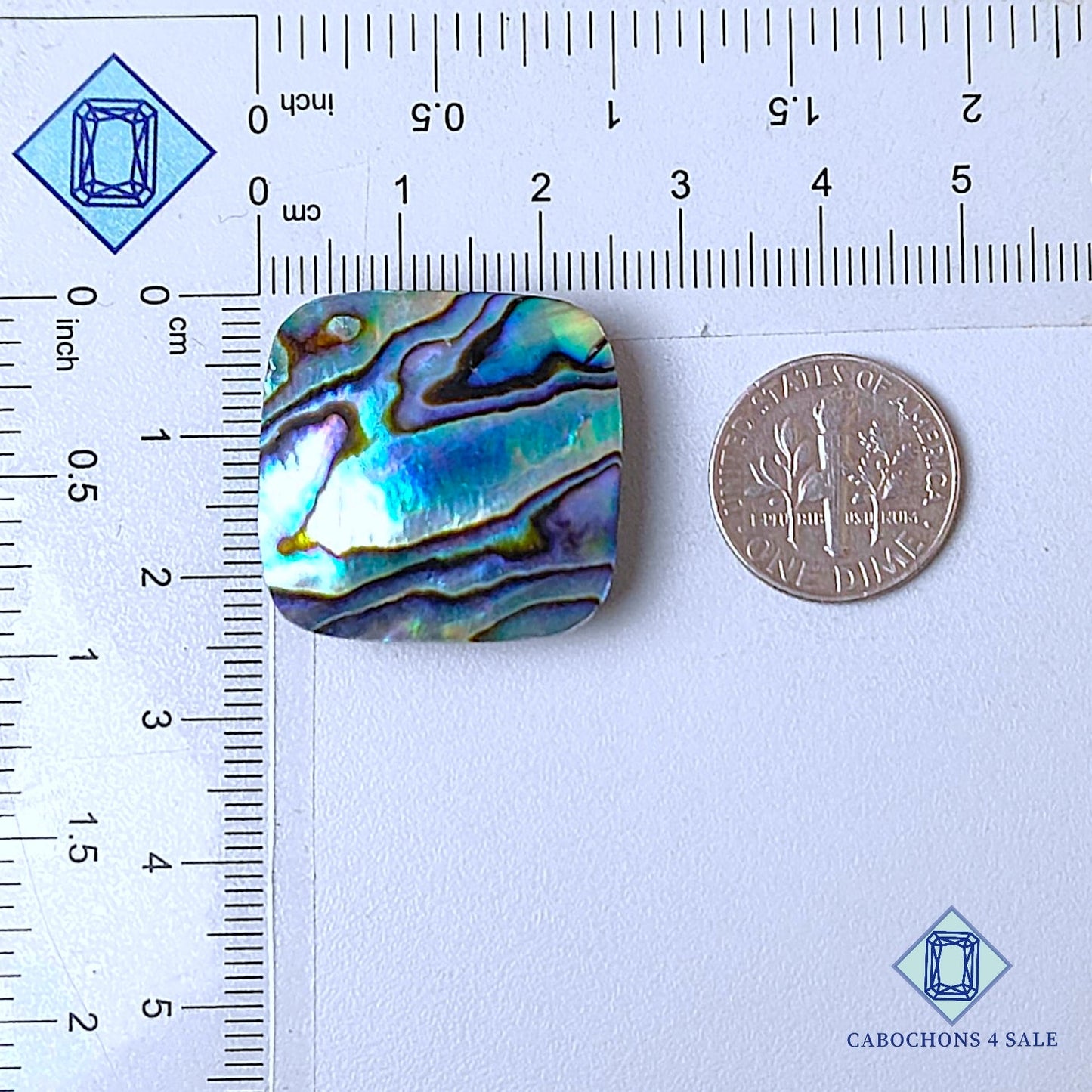 Natural Abalone shell Gemstone Fancy Cabochons 24*24*6mm from New Zealand  available for sale