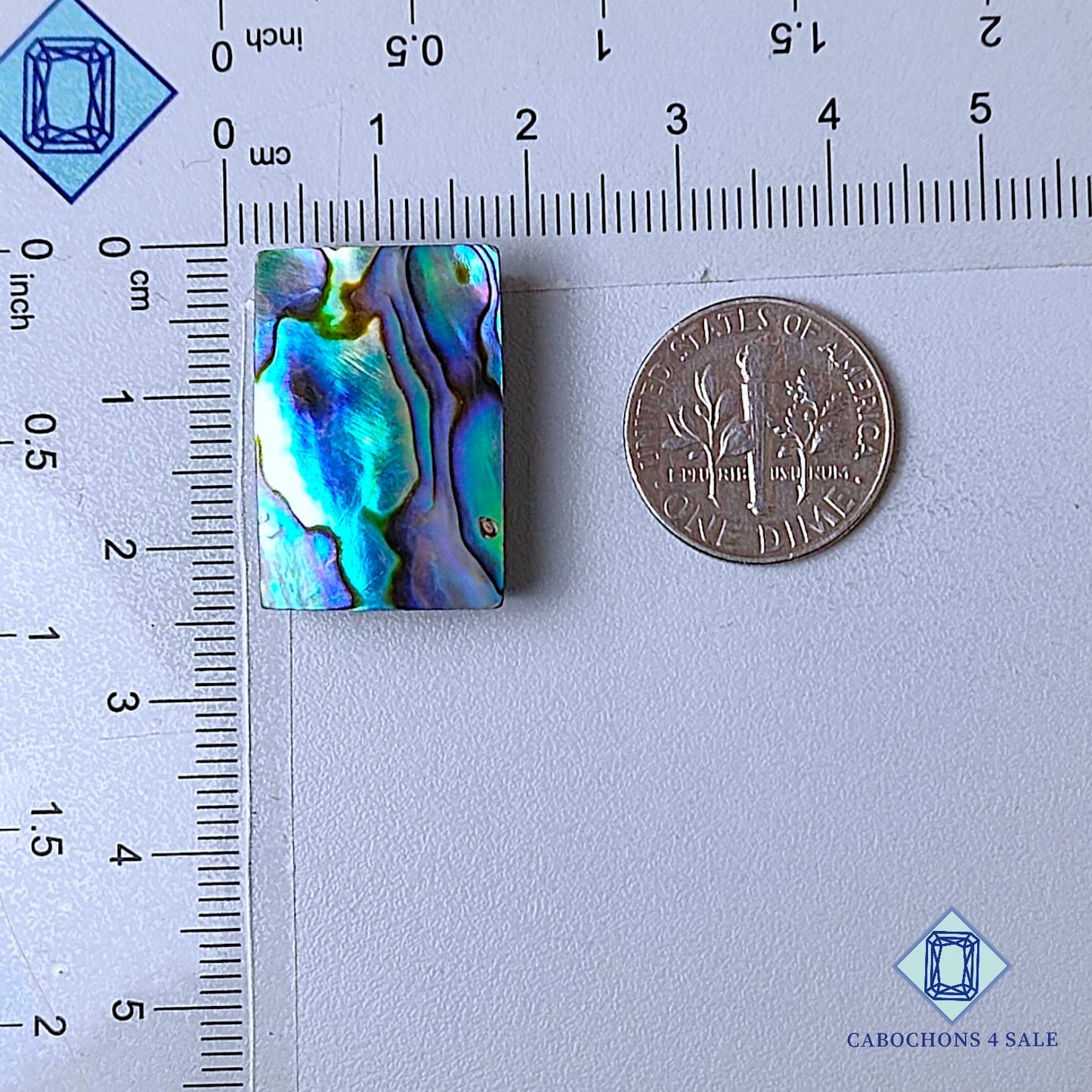 Natural Abalone shell Gemstone Fancy Cabochons 23*16*7mm from New Zealand  available for sale
