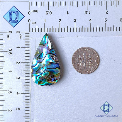 Natural Abalone shell Gemstone Pear Cabochons 35*19*6mm from New Zealand  available for sale