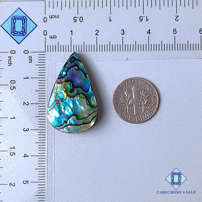 Natural Abalone shell Gemstone Pear Cabochons 31*19*6mm from New Zealand  available for sale
