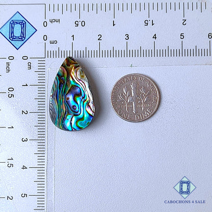 Natural Abalone shell Gemstone Pear Cabochons 26*16*6mm from New Zealand  available for sale