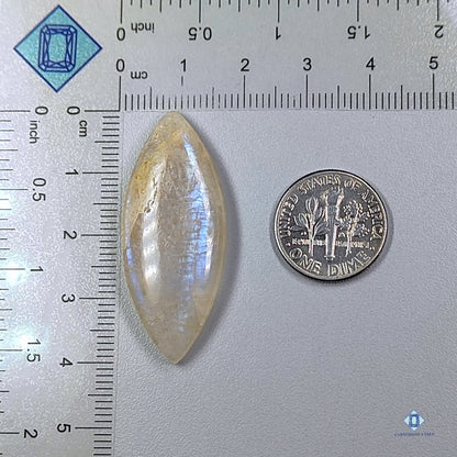 African Moonstone Marquise Cabochons