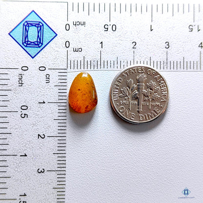 Amber Pear Cabochons