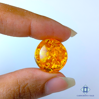 Amber (Manmade)