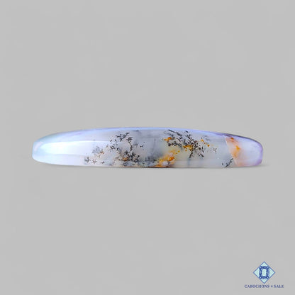 Amethyst Dendritic Agate