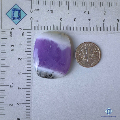 Amethyst Dendritic Agate