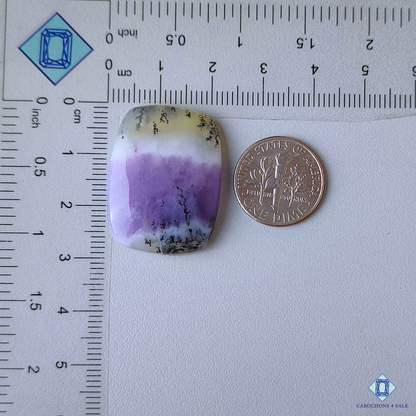 Amethyst Dendritic Agate