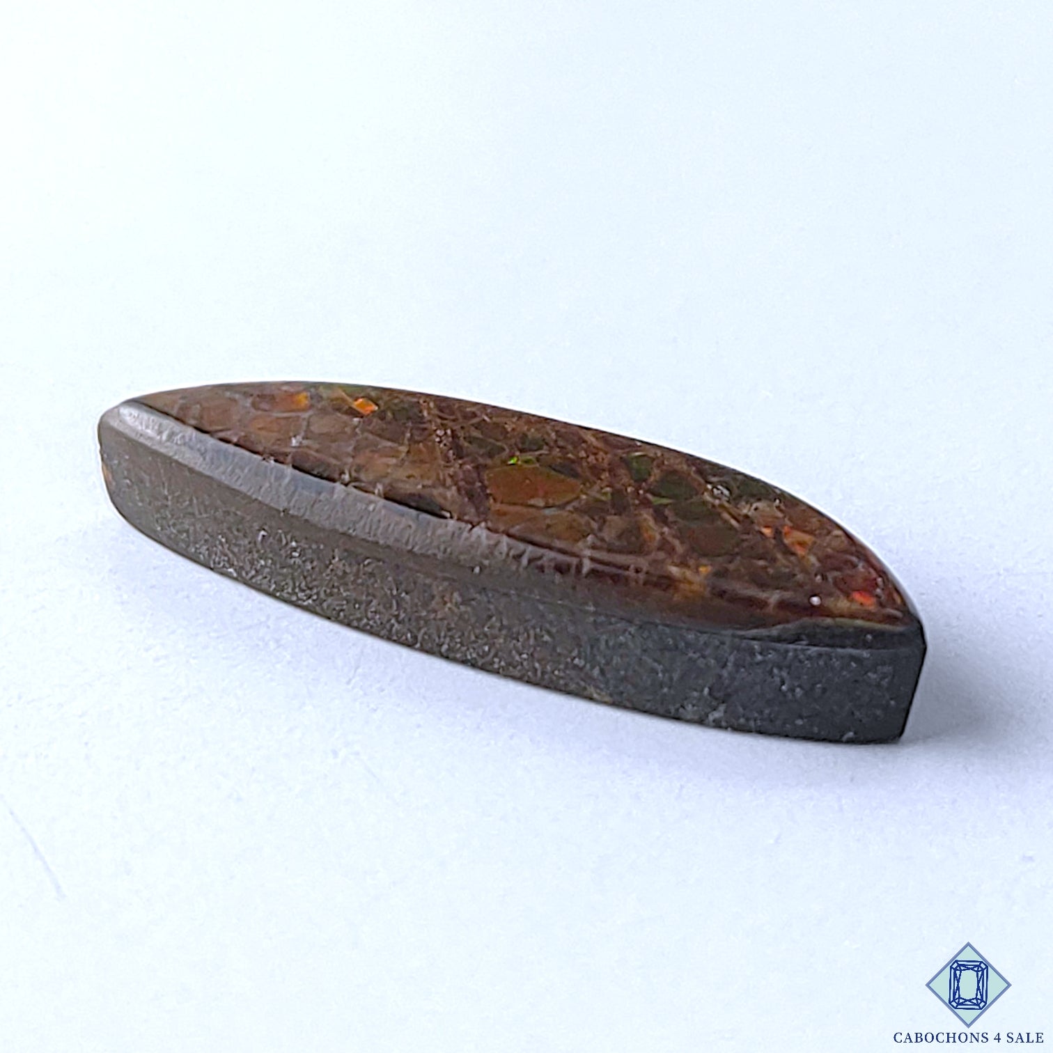 Ammolite