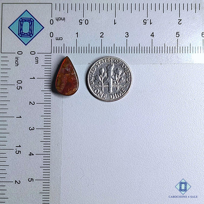 Natural Ammolite Gemstone Pear Cabochons 15*9*4mm from Canada available for sale