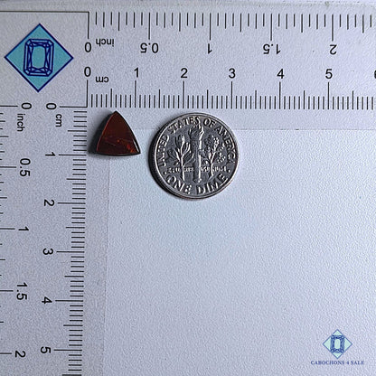 Cabujones triangulares de piedra preciosa de ammolita natural de 9 x 9 x 3 mm, disponibles para la venta en Canadá.