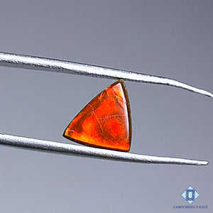 Natural Ammolite Gemstone Triangle Cabochons 9*7*3mm from Canada available for sale