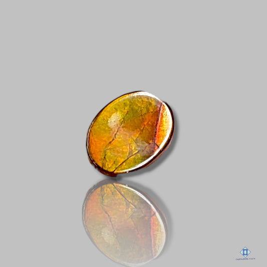 Ammolite