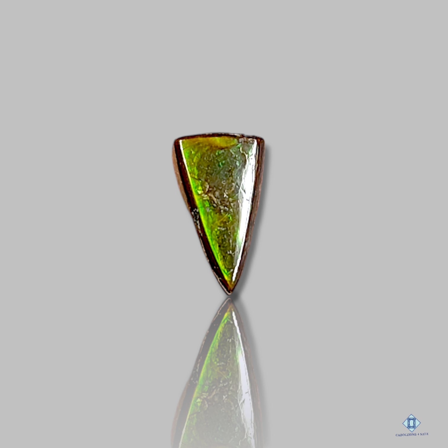 Ammolite