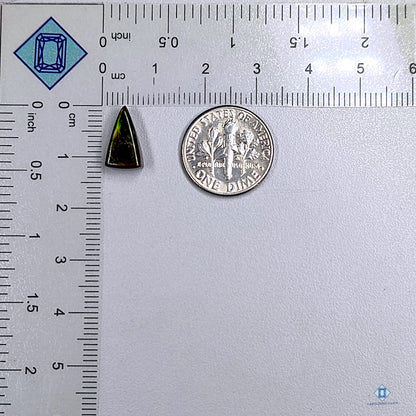 Ammolite Triangle Cabochons