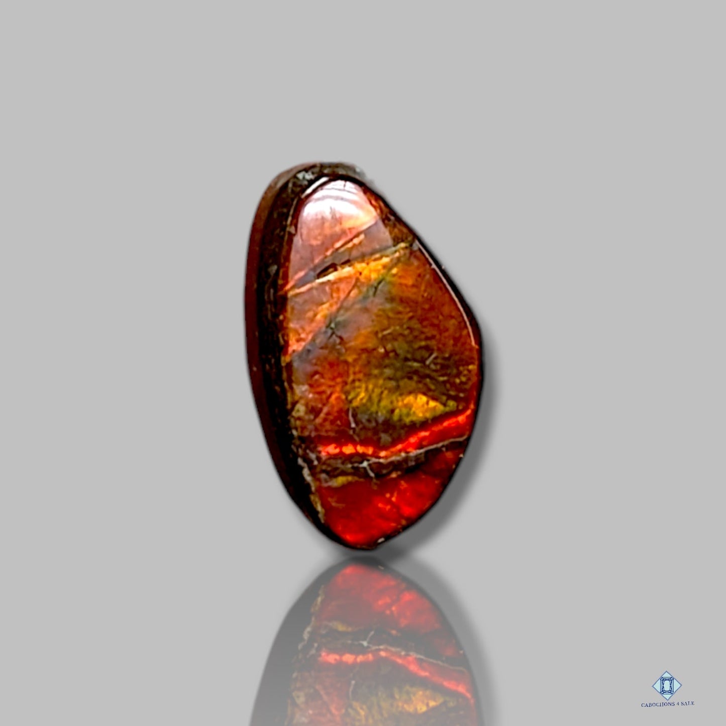 Ammolite