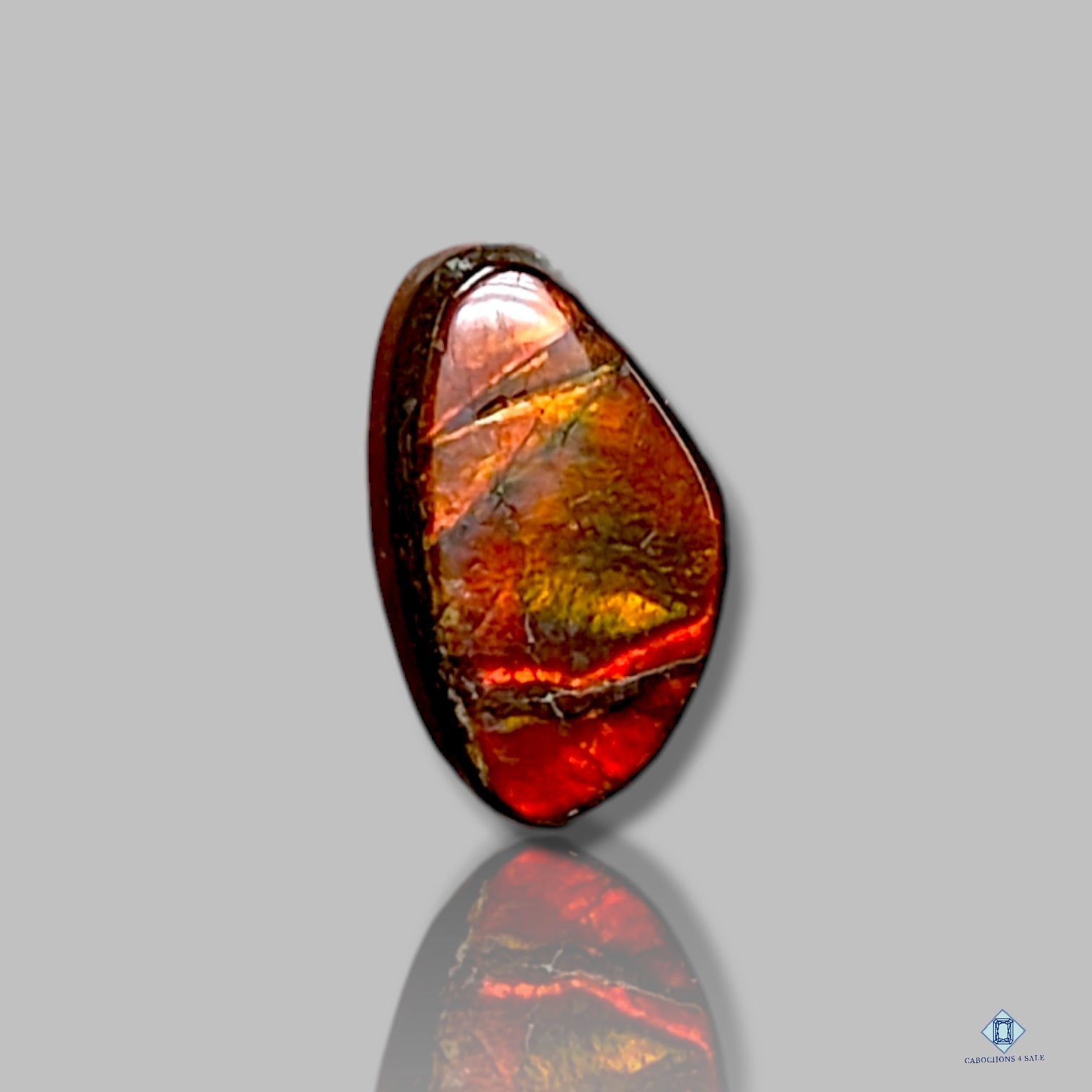 Ammolite