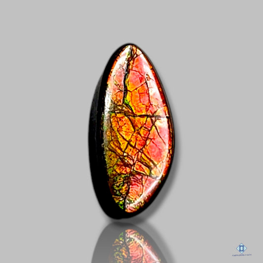 Ammolite