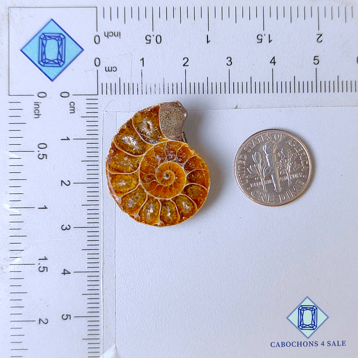Ammonite Fancy Druzy