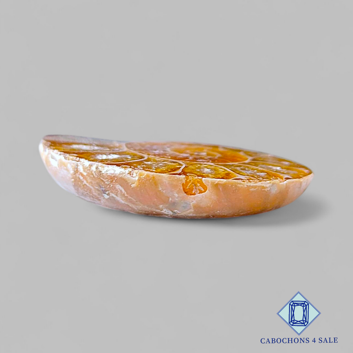 Ammonite Fancy Druzy