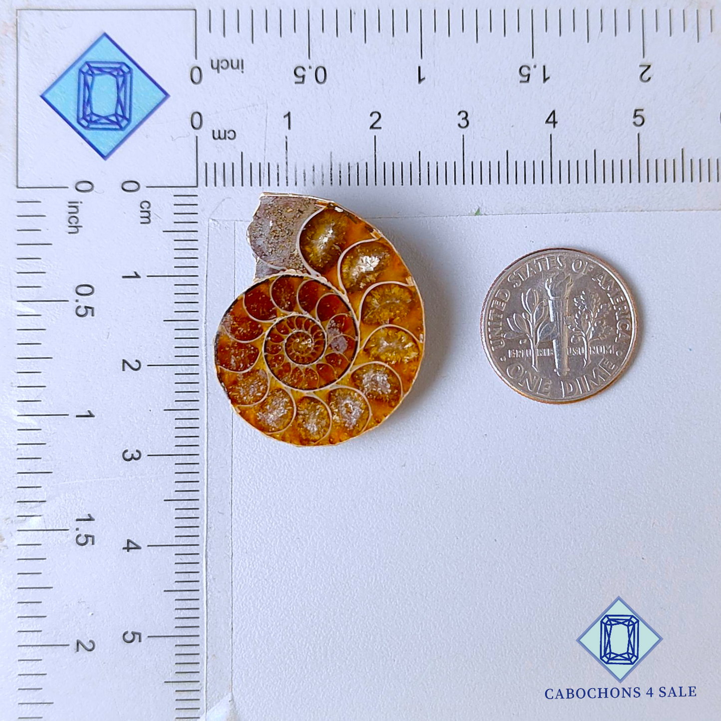 Ammonite Fancy Druzy