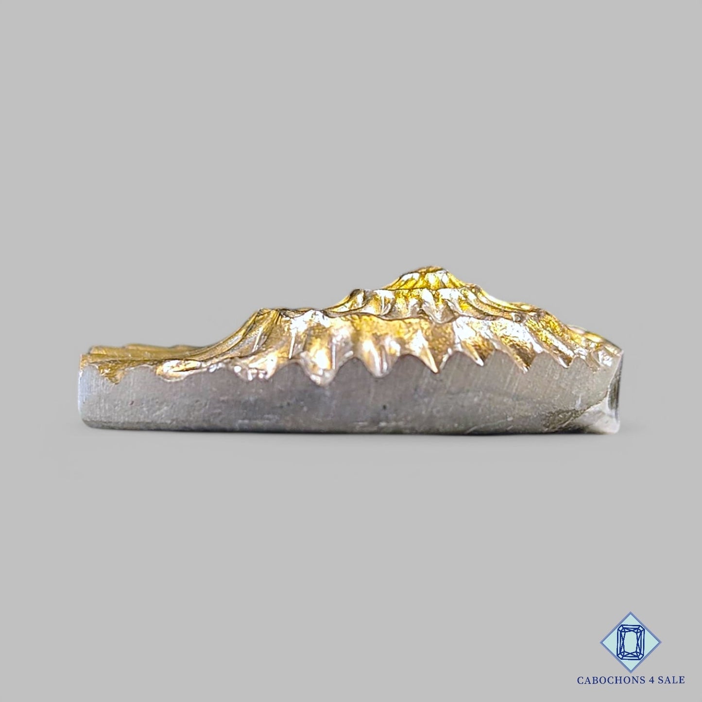 Tallas de amonita natural de 31 x 26 x 8 mm, disponibles para la venta en Canadá.