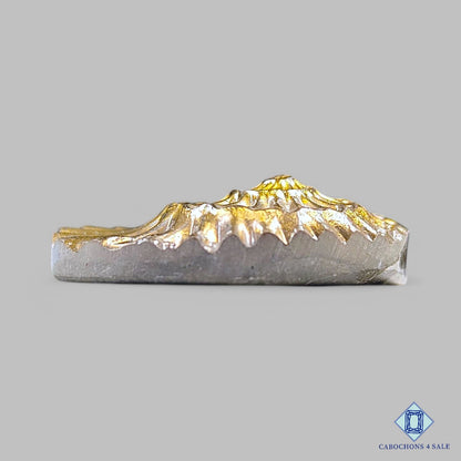 Tallas de amonita natural de 31 x 26 x 8 mm, disponibles para la venta en Canadá.