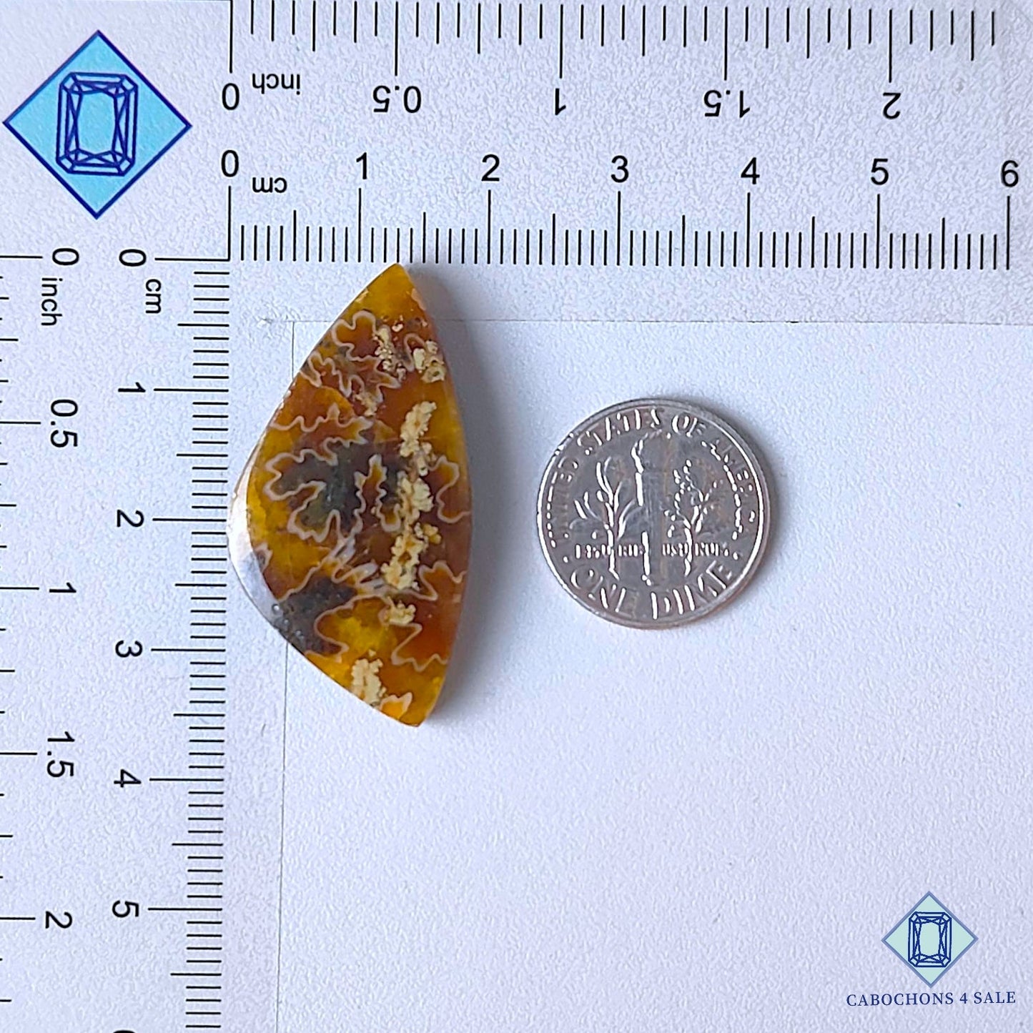 Cabujones de amonita natural de 35 x 18 x 5 mm, disponibles para la venta en Canadá.