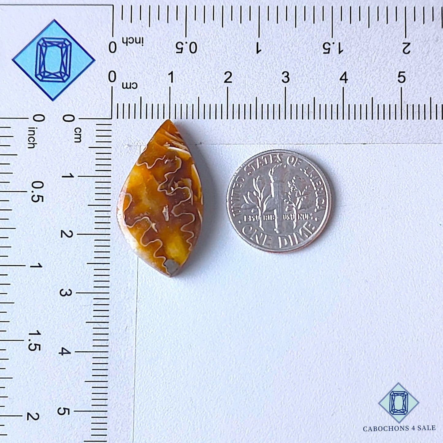 Cabujones de amonita natural de 27 x 15 x 5 mm, disponibles para la venta en Canadá.