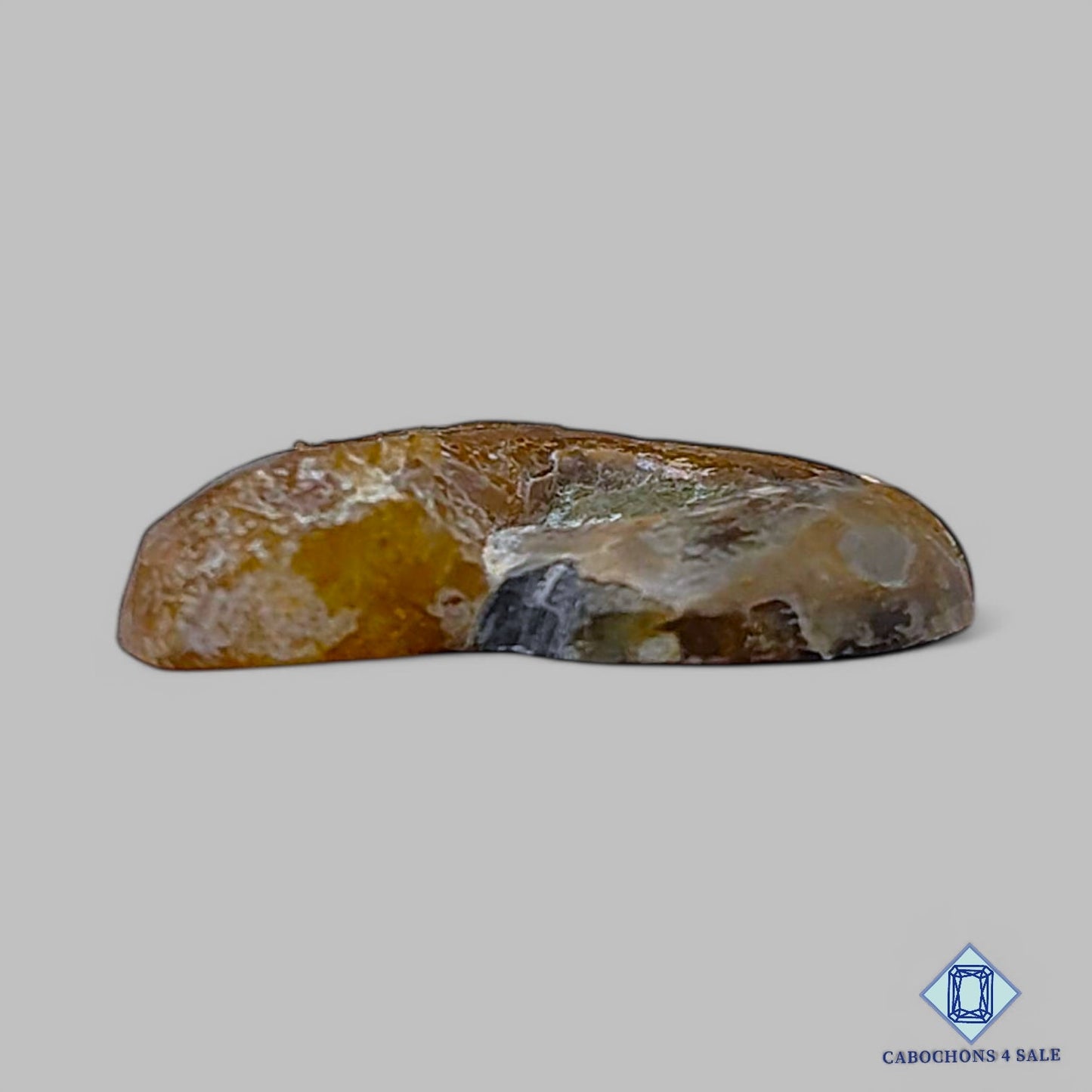 Piedra preciosa de amonita natural Druzy de lujo de 23 x 19 x 5 mm, procedente de Canadá, disponible para la venta.