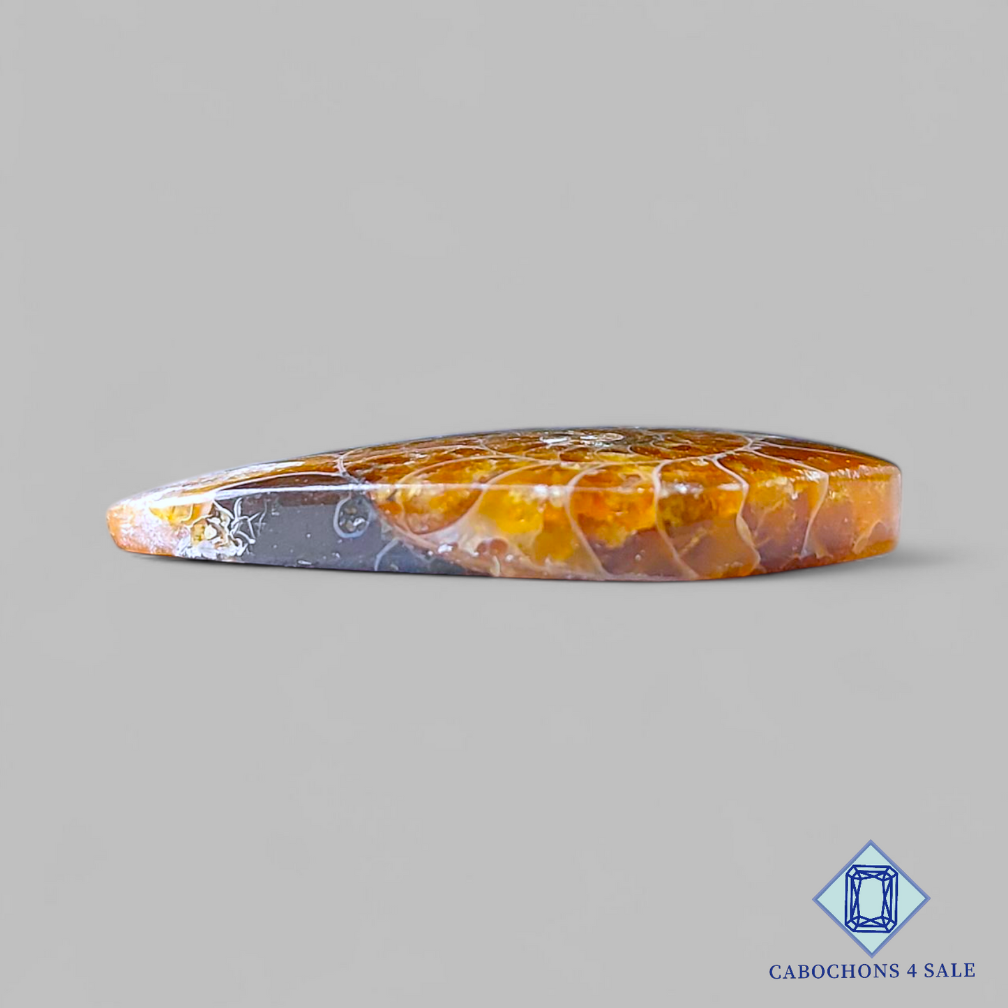 Cabujones de pera de amonita