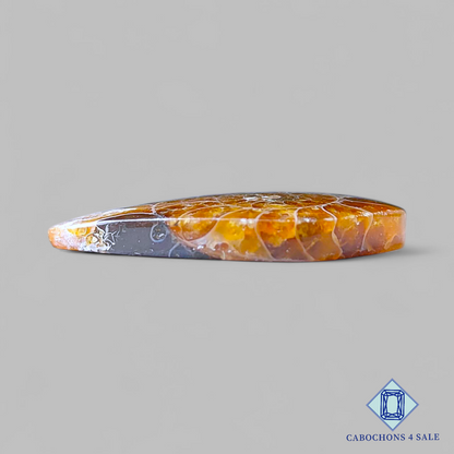 Cabujones de pera de amonita