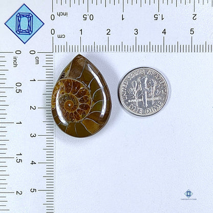 Ammonite Pear Cabochons