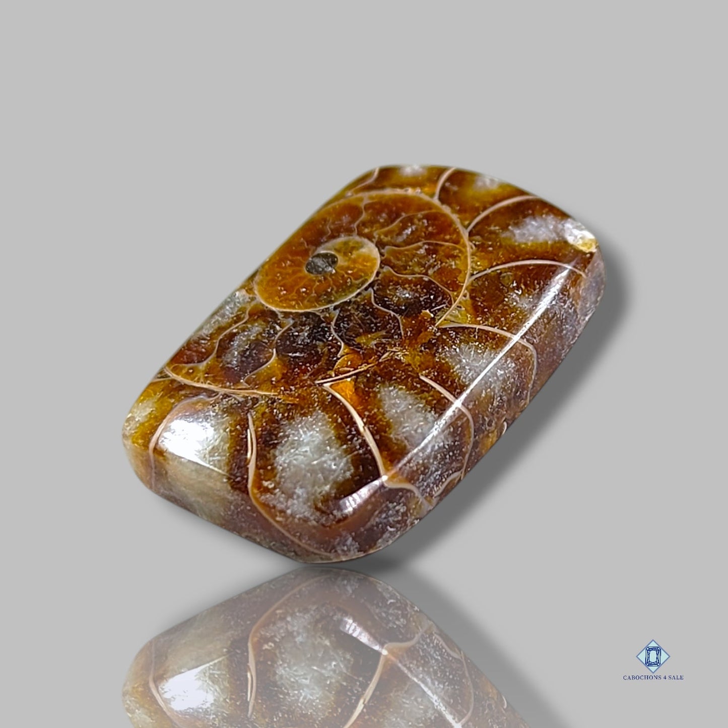 Ammonite Rectangle Cabochons