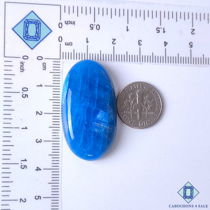 Apatite