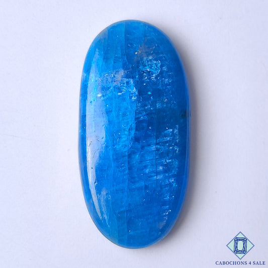 Apatite