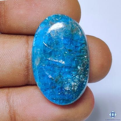 Apatite