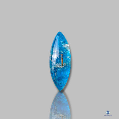 Apatite + Golden Rutile Quartz