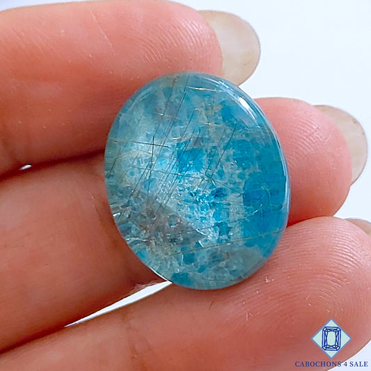 Apatite Rutile Quartz Doublet